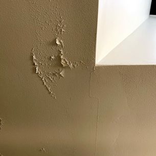 ceiling before